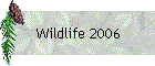 Wildlife 2006