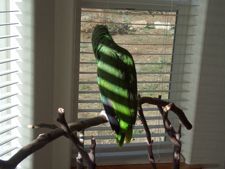 0675 - Mija watched the whole show