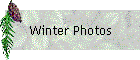 Winter Photos