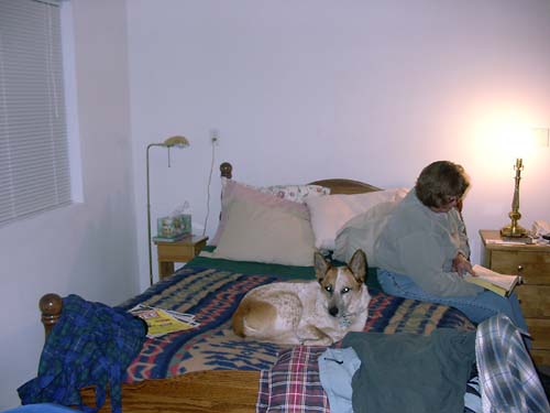 0089 - bedroom corner of our current living quarters