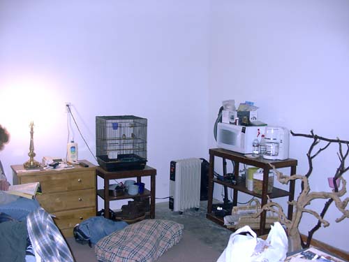 0090 - here's the kitchen and Finches corner