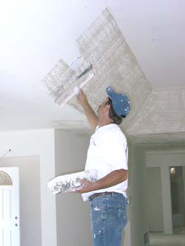 0155 - skip trowling the coffer ceiling in grtroom