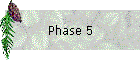 Phase 5