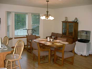 0253 -The dining room so far