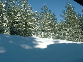 0304 - Backyard snow view