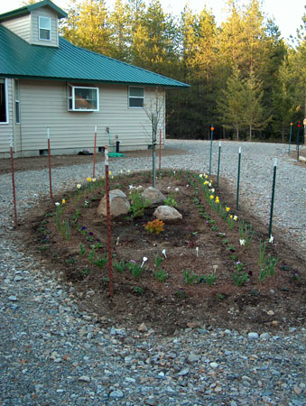 0351 - Our first landscaping project