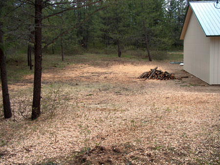 0354 - After chipping all slash piles so far