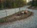 0350 - Our first landscaping project